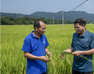 桂林中禾現(xiàn)代農(nóng)業(yè)開發(fā)公司：多種良種好糧  助力鄉(xiāng)村振興
